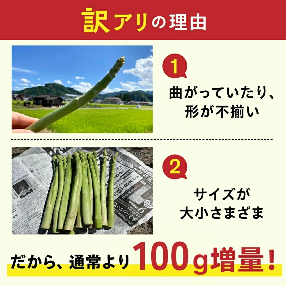 【ふるさと納税】《令和8年産 2026年先行予約受付中》訳あり 水村農園 飛騨のきれいな水と激しい寒暖差が育んだ柔らか甘いアスパラグリーン アスパラガス 2026年 配送 サラダ 天ぷら 新鮮 時間指定 わけあり 訳アリ [Q1957rex] 5000円 飛騨市