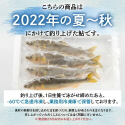 【ふるさと納税】《訳あり》2022年産 令和4年もの 飛騨のあばれ鮎 天然鮎 サイズ不揃い 10尾 天然 急速冷凍 アユ 鮎 岐阜県 室田名人 宮川下流[Q2062] 10000円 1万円･･･ 画像1