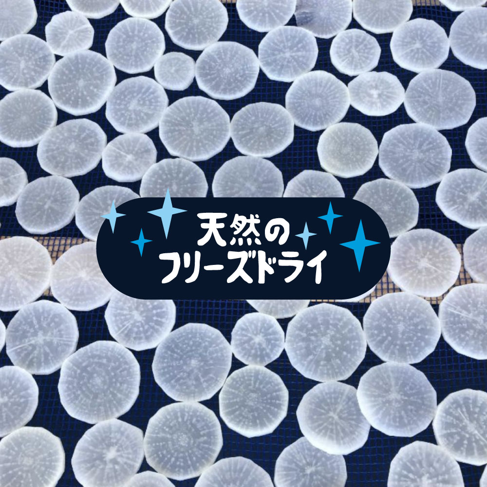 【ふるさと納税】【先行予約】飛騨 山之村 清水さんちの切り干し大根お試し用1袋 切干大根 だいこん ［Q1825ch］3000円 3千円