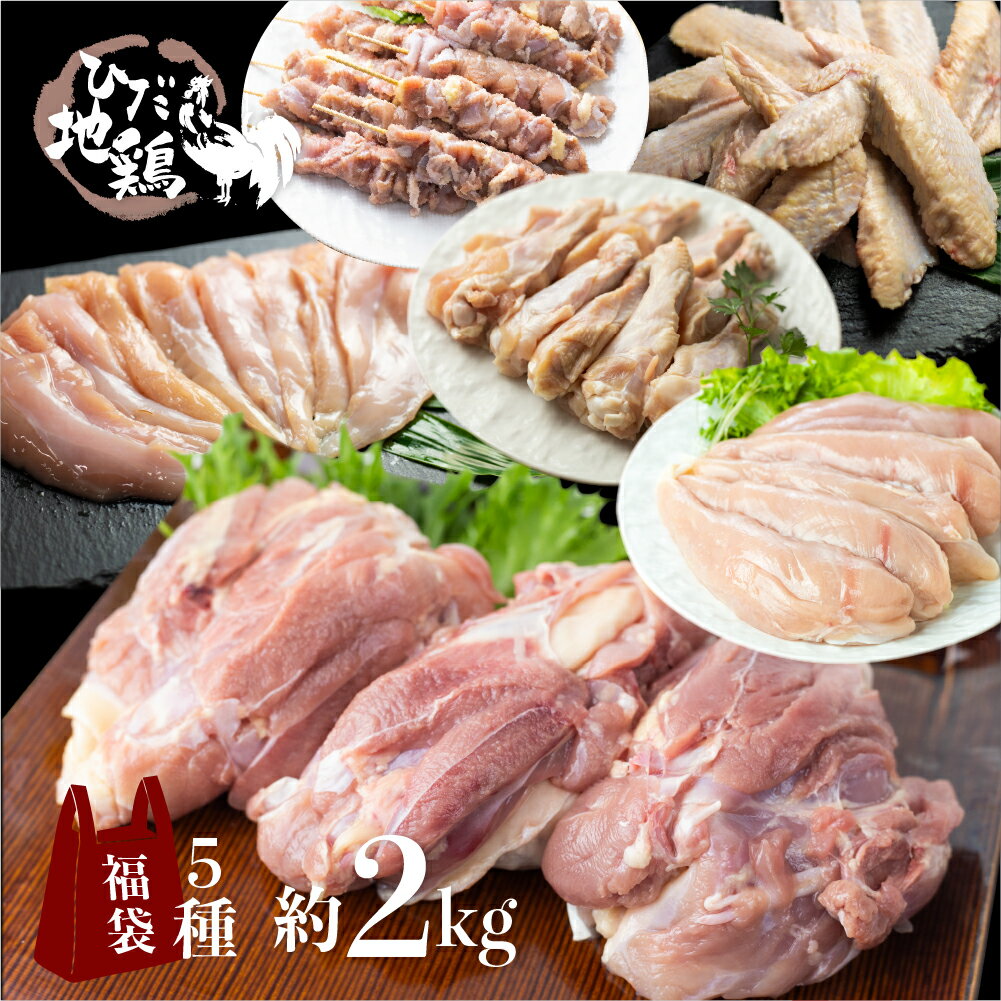 【ふるさと納税】鶏肉 小分け 福袋 飛騨地鶏三昧 約2kg 