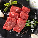 【ふるさと納税】【食べ方・シーンを選べる】2人で楽しむ飛騨牛 350g 焼肉 すき焼き しゃぶしゃぶ 黒毛和牛 和牛 国産 ギフト 贈答 贈り物 美味しい 贈答用 ブランド牛 お中元 化粧箱 冷蔵 送料無料 日時指定 のし対応［Q2068］20000円 2万円 1