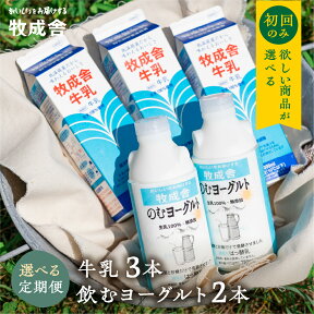 【ふるさと納税】《牧成舎》飲むヨーグルト＆牛乳 毎月1回×6か月 12か月 お届け定期便 低温殺菌牛乳 3本 無添加 飲むヨーグルト 2本 飛騨産生乳100%使用 定期便 お楽しみ [Q128]《hida0307》