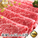 飛騨牛 【ふるさと納税】あっさり派の方へ 赤身 飛騨牛しゃぶしゃぶ用もも肉 700g 牛肉 肉 和牛 国産［Q1782］50000円 5万円