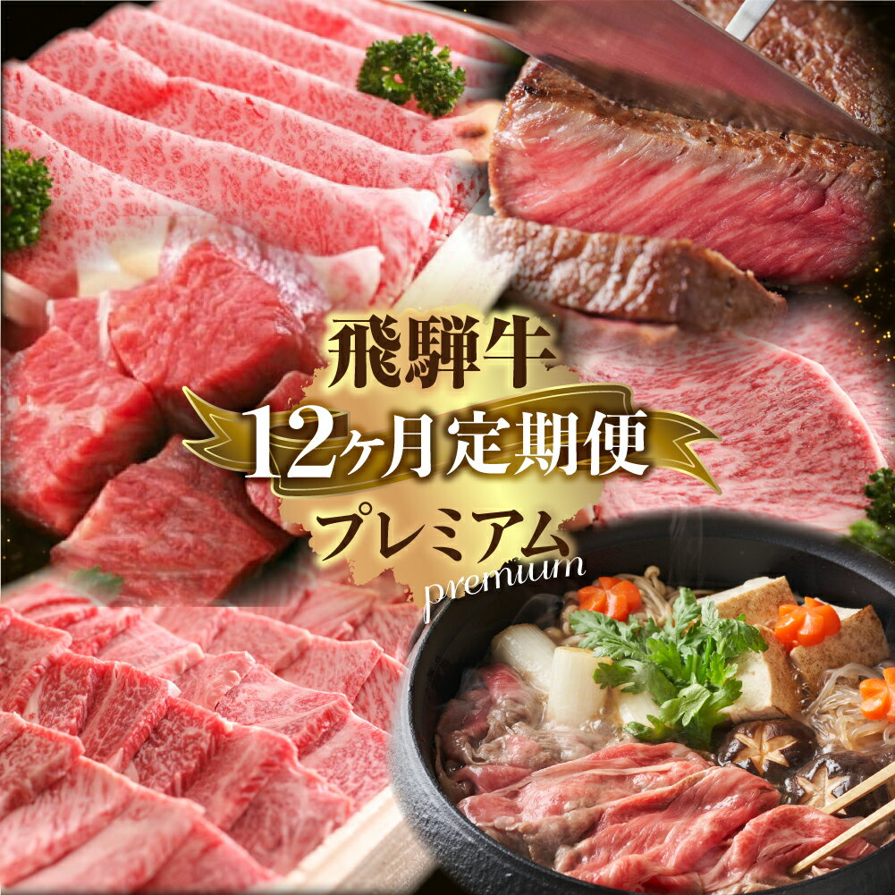 定期便 プレミアム飛騨牛12回お届けロングコース 牛肉 肉 和牛 国産 すき焼き 焼肉 ステーキ しゃぶしゃぶ 切り落とし サイコロステーキ ハンバーグ 肉まん お楽しみ［Q1794］400000円 40万円