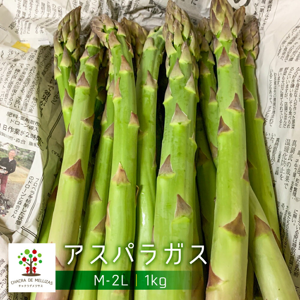 10位! 口コミ数「0件」評価「0」《先行予約》CHACRA DE MELLIZASのアスパラガス 1kg 野菜 期間限定 サイズ不揃い ［Q2361］12000円