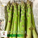 16位! 口コミ数「0件」評価「0」《先行予約》CHACRA DE MELLIZASのアスパラガス 1kg 野菜 期間限定 サイズ不揃い ［Q2361］10000円 1万円