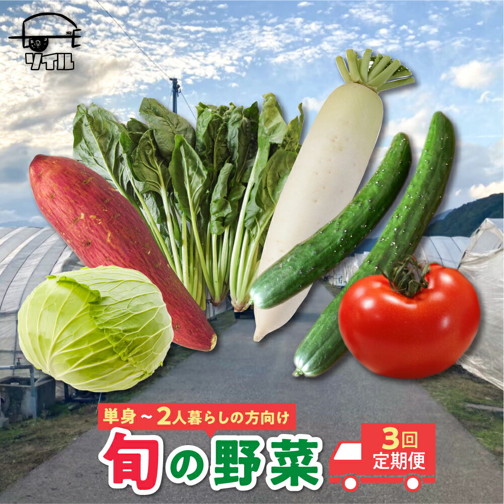 【ふるさと納税】訳あり【5月～12月中旬発送】野菜 定期便 3回 2週間に1回お届け 旬の野菜セット 3種類以上 詰め合わせ 内容おまかせ 野菜セット 単身用 2人暮らし用 産地直送[Q1856]15000円 《hida0307》