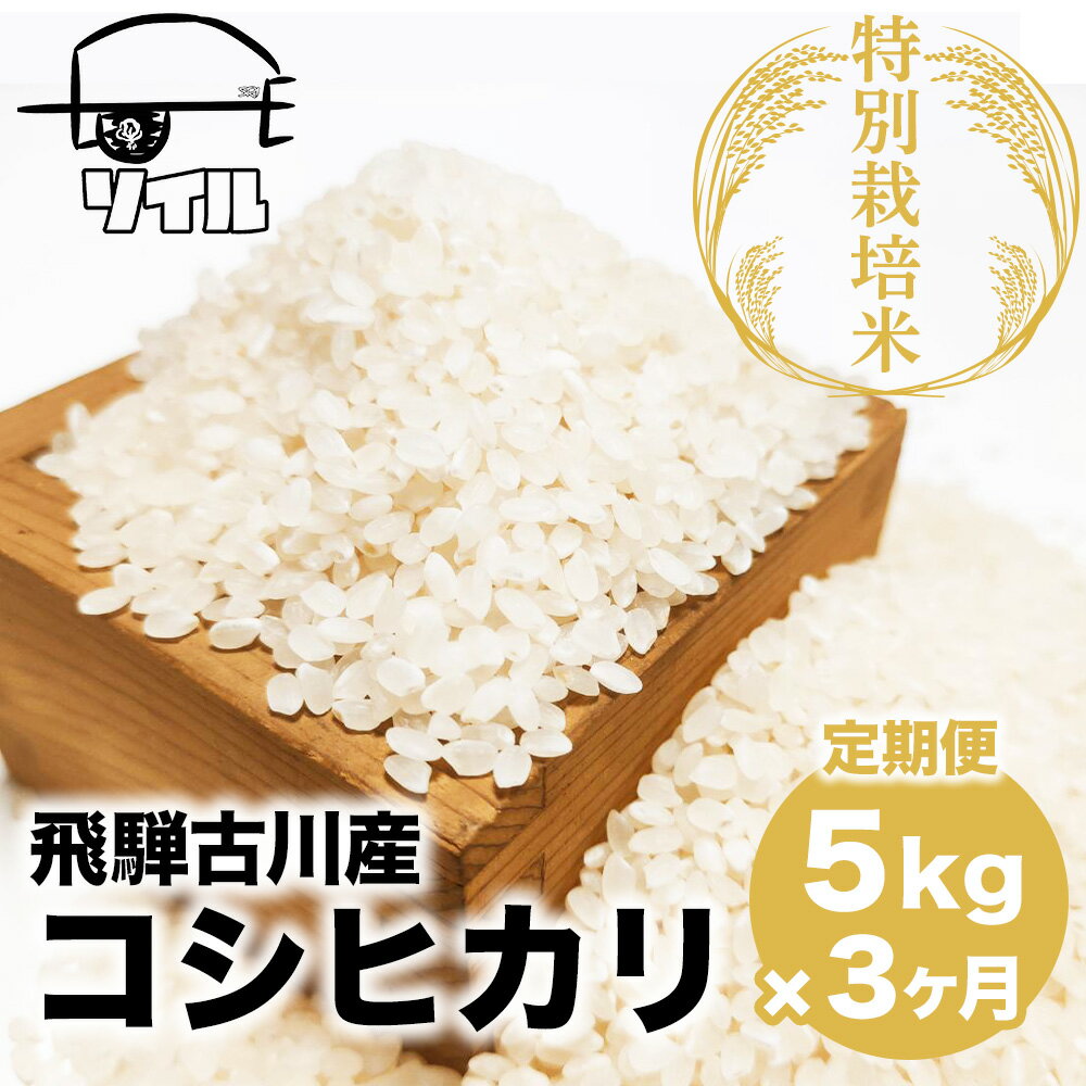 [2024年先行予約 10月から発送]令和6年産 米 定期便 3回 コシヒカリ 飛騨古川産 特別栽培米 こしひかり 5kg 特A[Q1860_24][hida0307]