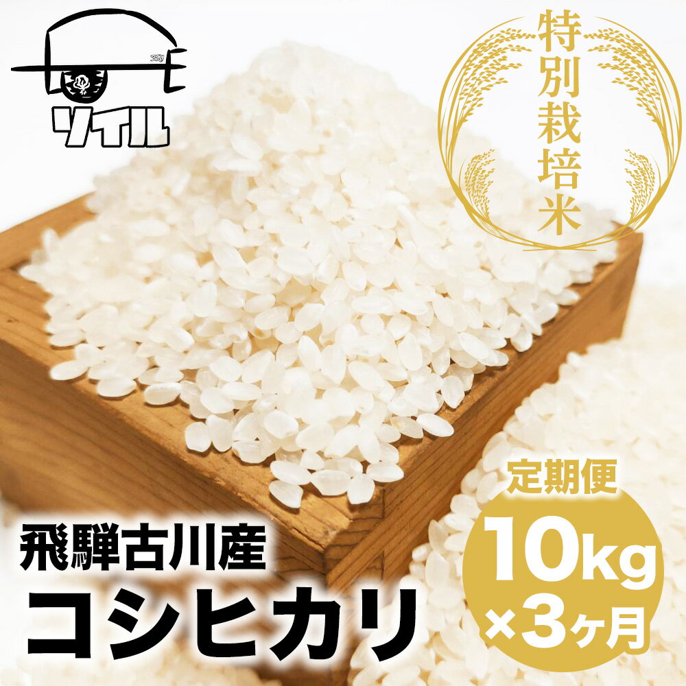 11位! 口コミ数「0件」評価「0」【2024年先行予約 10月から発送】米 定期便 3回 コシヒカリ 飛騨古川産 特別栽培米 こしひかり 10kg 特A［Q1863_24]