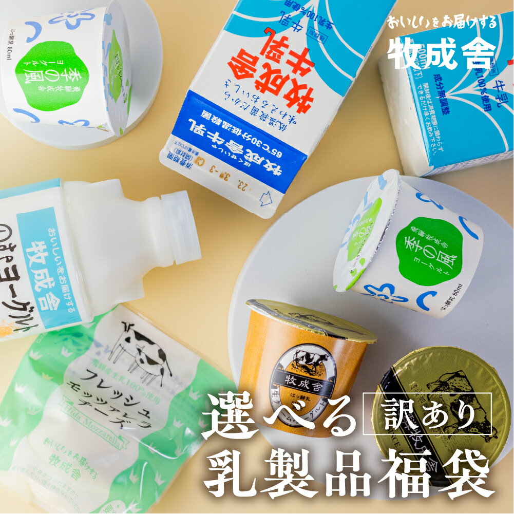 訳あり 選べる 福袋 お楽しみ 乳製品 乳製品セット 牛乳 ヨーグルト 飲むヨーグルト チーズ 牧成舎 　10000円 1万円 《hida0307》