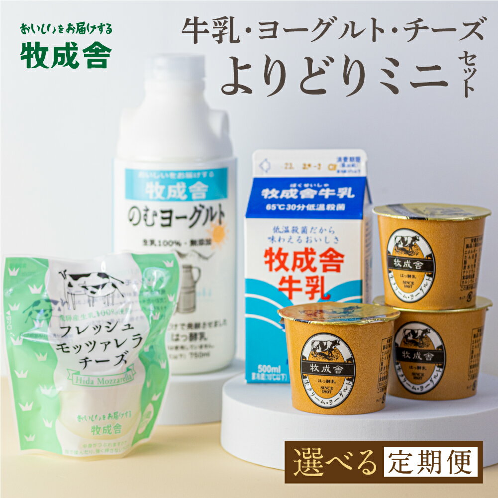 【ふるさと納税】乳製品 選べる定期便 2回 4回 6回 ＜牧成舎＞牛乳 ヨーグルト チーズ よりどりミニセ...