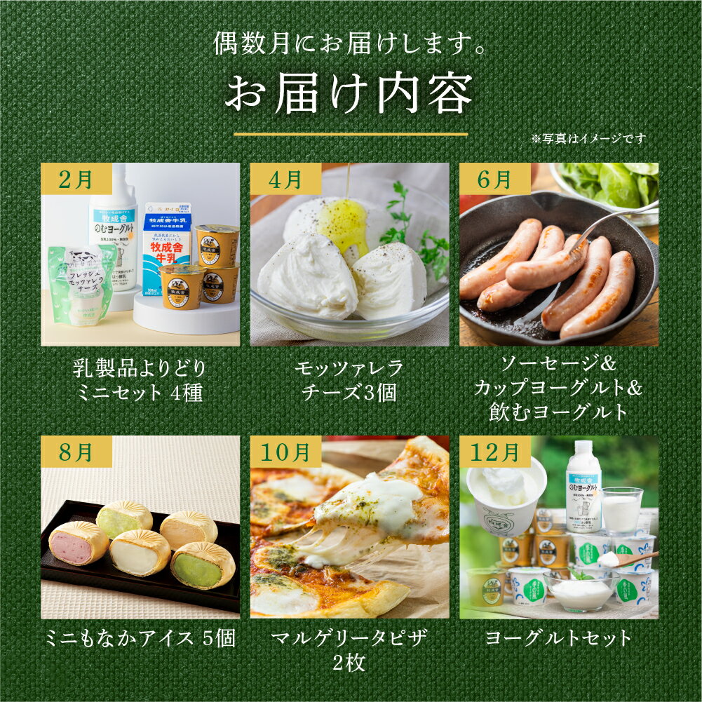 【ふるさと納税】乳製品 定期便 6回＜牧成舎＞牛乳 ヨーグルト チーズ ピザ ソーセージ 牧成舎の商品をまるごと楽しむ 定期便 お楽しみ お任せ 訳あり わけあり [Q1942x]50000円
