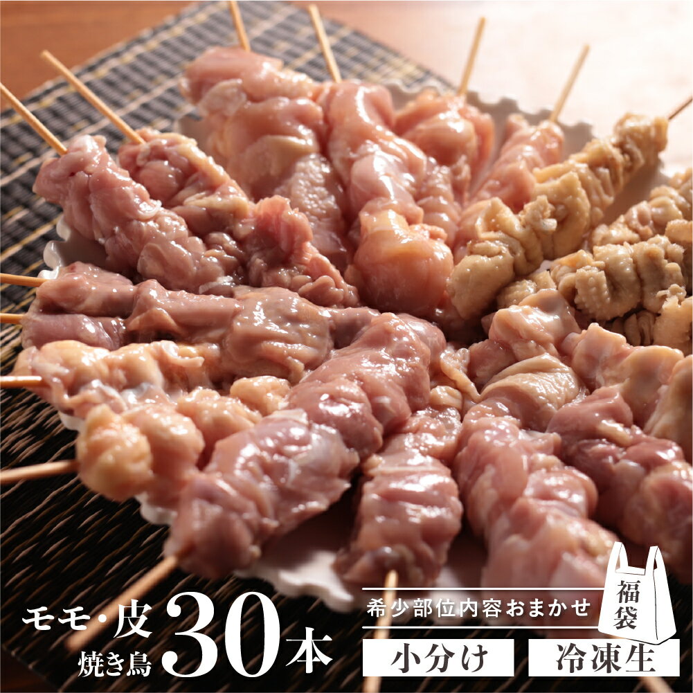 【ふるさと納税】訳あり 鶏肉 焼き鳥 飛騨地鶏 串 30本セット 部位おまかせ もも 皮 砂肝 ぼんじり 軟骨 ホルモン ふりそで ハツ 希少部位 国産鶏肉 食べ比べ 国産 地鶏 バーベキュー キャンプ アウトドア 冷凍[Q1946re]