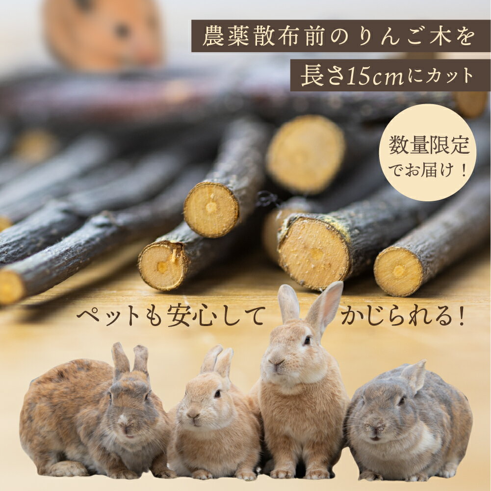 【ふるさと納税】小動物用 かじり木 2袋 飛騨のりんごの木 農薬散布前 うさぎ ハムスター [Q1981xc]10000円 1万円