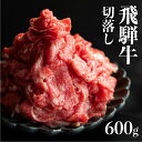 【ふるさと納税】《期間限定》【訳あり】飛騨牛 切り落とし 600g 小間切れ こまぎれ 切落し 訳アリ わけあり ワケアリ 不揃い 牛 肉 牛肉 国産牛 黒毛和牛 牛丼 焼肉 冷蔵 2024年 時間指定［Q2072］10000円 1万円