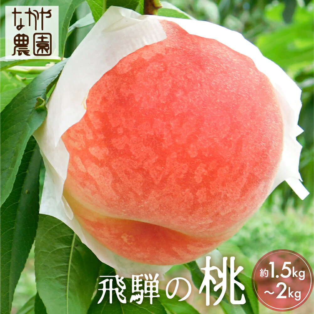 【ふるさと納税】【8月上旬～20日頃発送】桃 約1.5～2kg 5～6玉 飛騨産 果物 フルーツ 国産 もも モモ お取り寄せ 産地直送 [Q2075]8000円のサムネイル