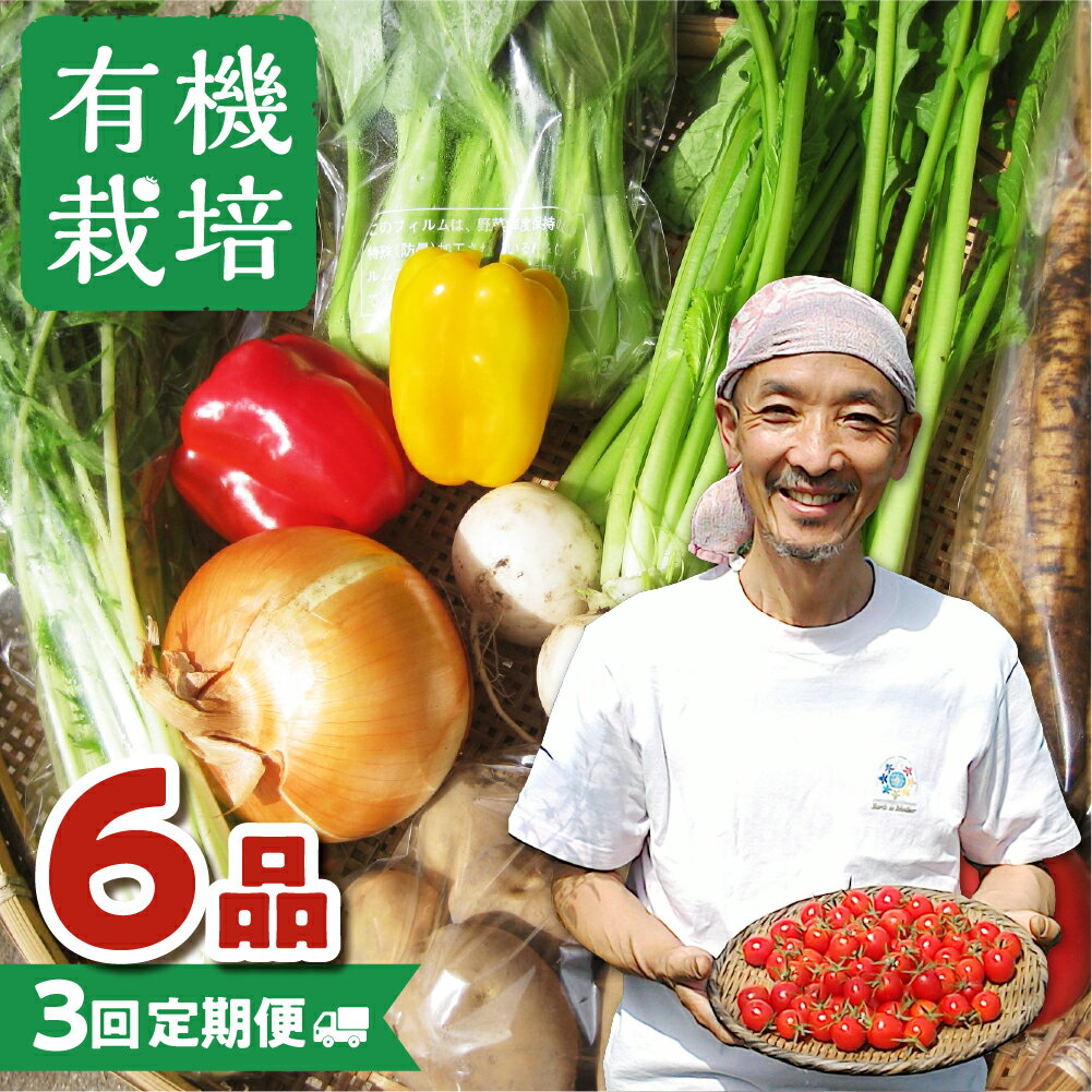 【ふるさと納税】野菜の栄養価コンテストグランプリ農家が贈る 無農薬栽培 野菜セット 7品 3回お届け 定期便 お野菜のレシピ付き 野菜 定期便 お楽しみ 選べる お届け時期 2024 飛騨 ありがとうファーム [Q215]20000円 2万円のサムネイル