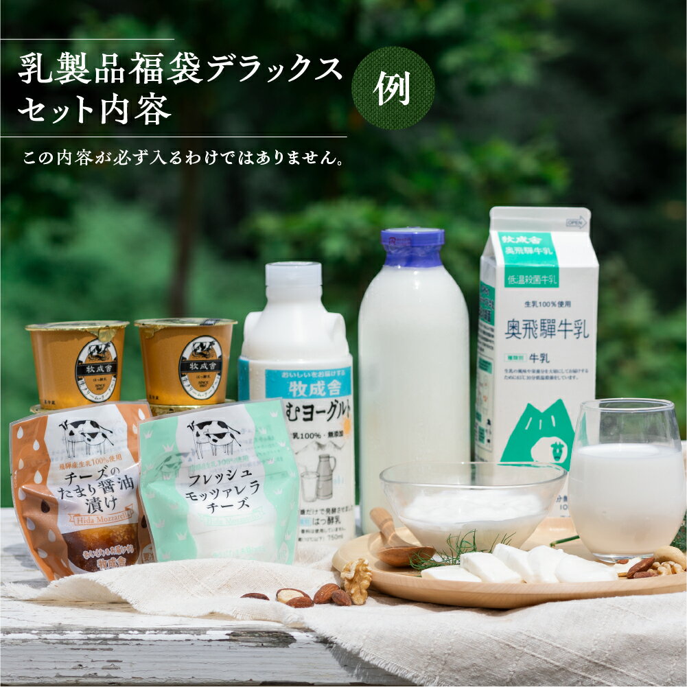 【ふるさと納税】訳あり 福袋 ＜牧成舎＞乳製品デラックスセット 牛乳 ヨーグルト チーズ お任せ 飛騨産生乳で作ったこだわりの乳製品セット まとめ買い 牧成舎 [Q2209]