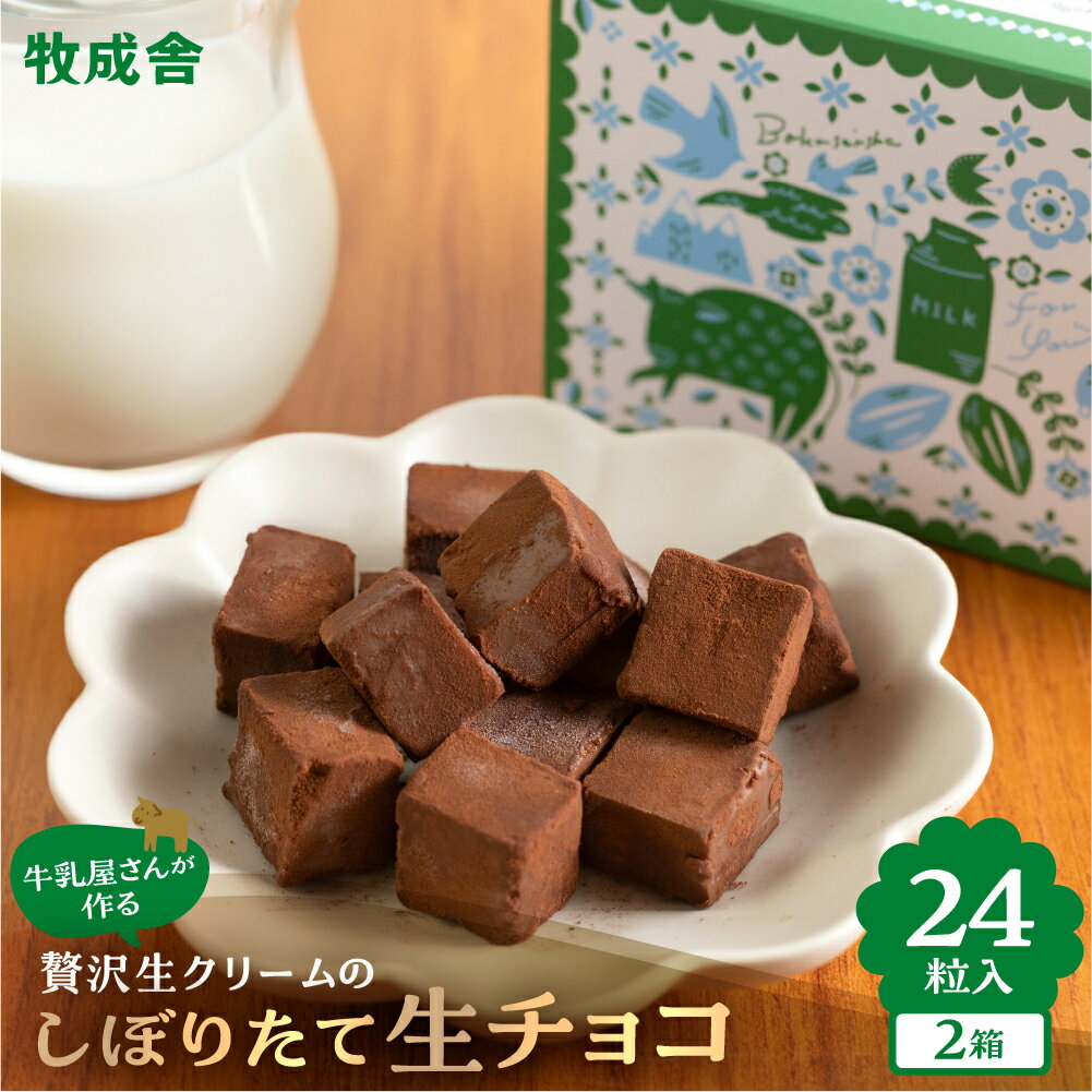 【ふるさと納税】【期間限定】生チョコレート 2箱 (1箱12粒入り) 生クリーム使用 チョコレート スイーツ 冷凍 洋菓子 ギフト 贈答 贈り物 プレゼント 牧成舎 ホワイトデー [Q2332x] 《hida0307》