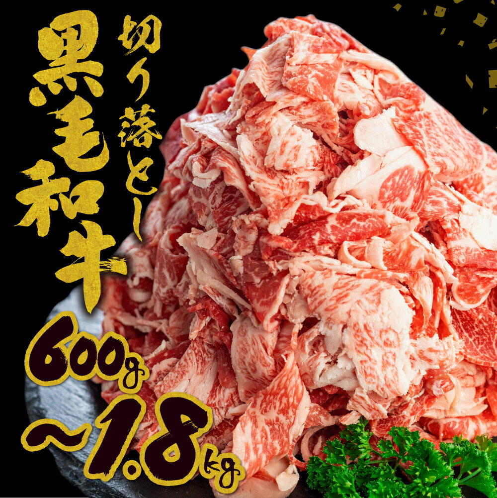 【ふるさと納税】《内容量が選べる》《簡易包装》飛米牛 切落しスライス 600g ～ 1.8kg スライス ひめぎゅう 牛肉 肉 国産牛 きりおとし 牛丼 カレー ビーフシチュー お取り寄せ 切落し ふぞろい 訳アリ わけあり ワケアリ 不揃い 小分け 10000円 1万円