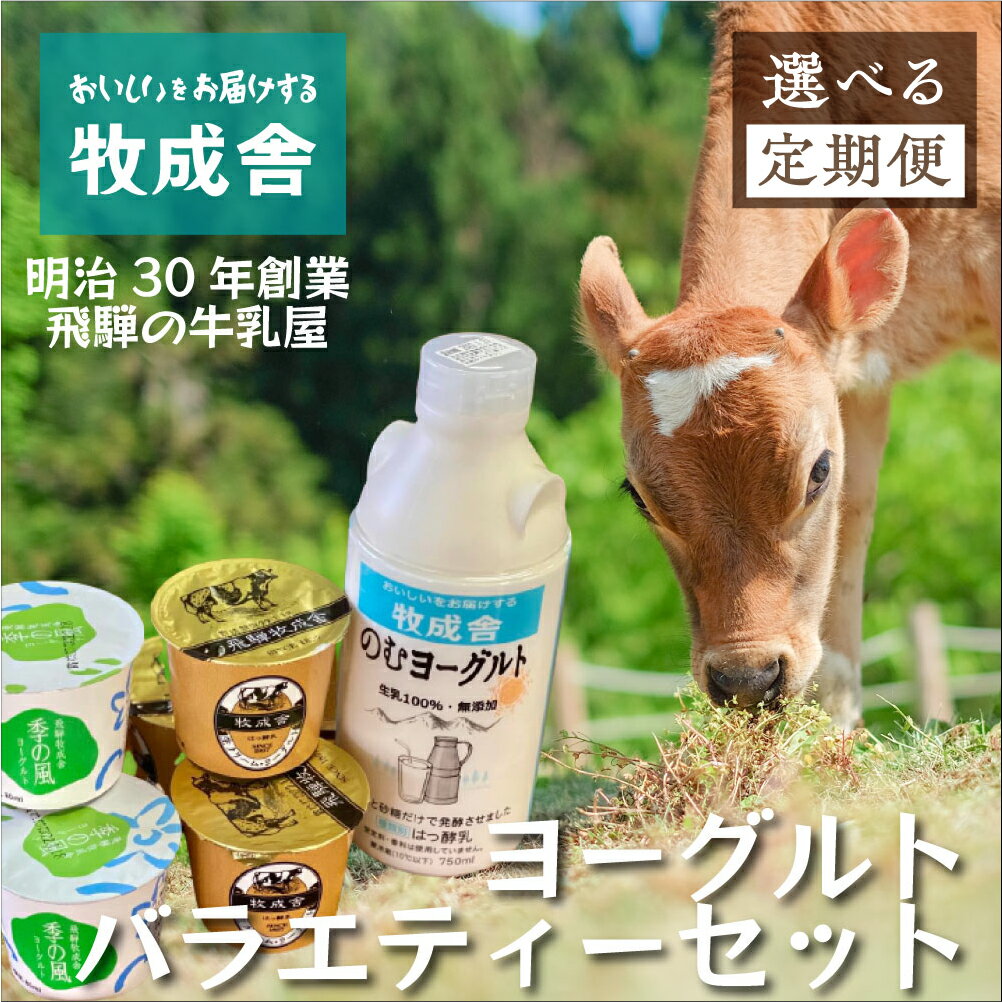 【ふるさと納税】《定期便》こだわりヨーグルトセット 3回 6回 12回 お届け 牧成舎 のむヨーグルト 生クリームヨーグルト 季の風 12個セット 定期便 お楽しみ