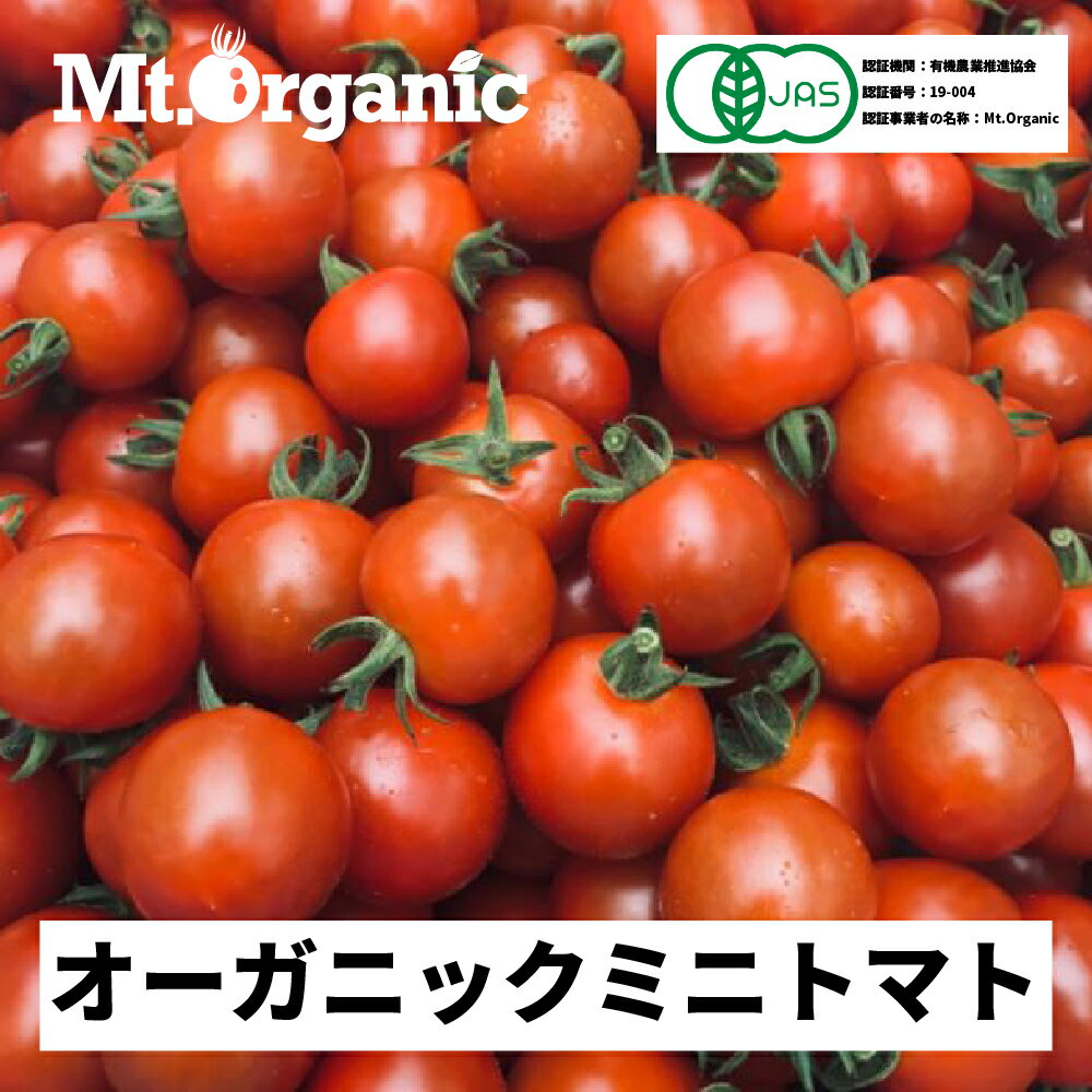 先行予約 オーガニック ミニトマト 約1.2kg 約4kg 選べる 農家直送 有機JAS認証 有機 プチトマト 令和6年産 2024年発送 《hida0307》