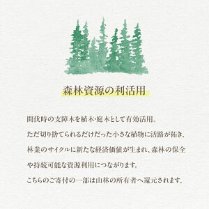 【ふるさと納税】飛騨の山採り樹木で庭造り 庭施工 サービス 庭 造園 [Q2303]