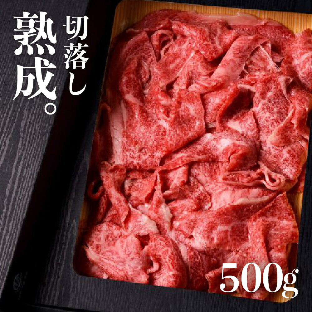 【ふるさと納税】山勇牛 切り落とし 500g 部位MIX 飛騨の牧場で育った熟成飛騨牛 『山勇牛』切落し 訳あり 訳アリ わけあり ワケアリ 不揃い 肉 熨斗掛け［D0027xcFZ］