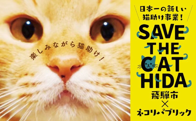 楽天岐阜県飛騨市【ふるさと納税】SAVE THE CAT HIDA PROJECT　ネコリパブリックの保護猫シェルター＆ホスピスに名前を刻める権利[neko07]（クラウドファンディング対象）50000円 5万円 ネコリパブリック