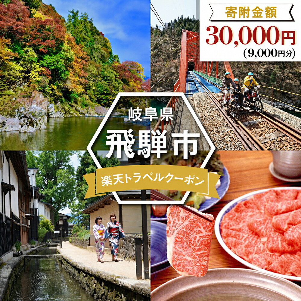 岐阜県飛騨市の対象施設で使える楽天トラベルクーポン 寄付額30,000円