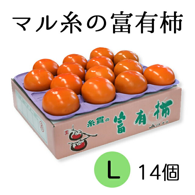 【ふるさと納税】《現行寄附金額6月10日まで》【先行予約】令和6年産《柿の王様》マル糸の 富有柿 Lサイズ 14個入 11月下旬より発送予定 [mt187]｜かき 富有柿 ふゆうがき フルーツ カキ 果物 …