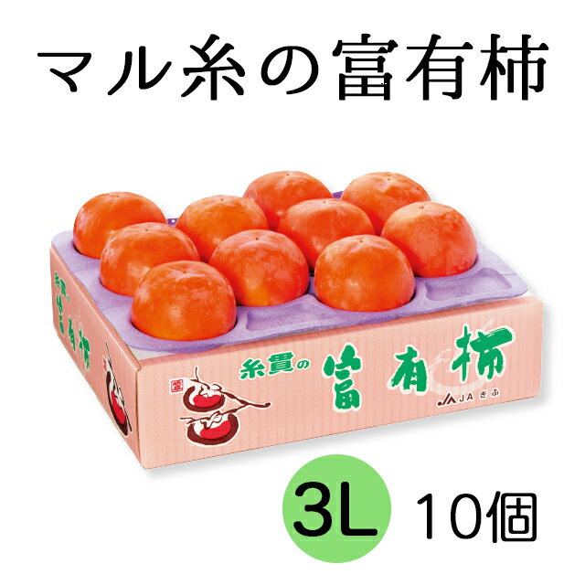 《現行寄附金額6月10日まで》【先行予約】令和6年産《柿の王様》マル糸の 富有柿 3L サイズ ( 10個入 ) 11月下旬より発送予定 [mt189]｜かき 富有柿 ふゆうがき フルーツ カキ 果物 くだもの 産地直送 岐阜県 本巣市 17000円