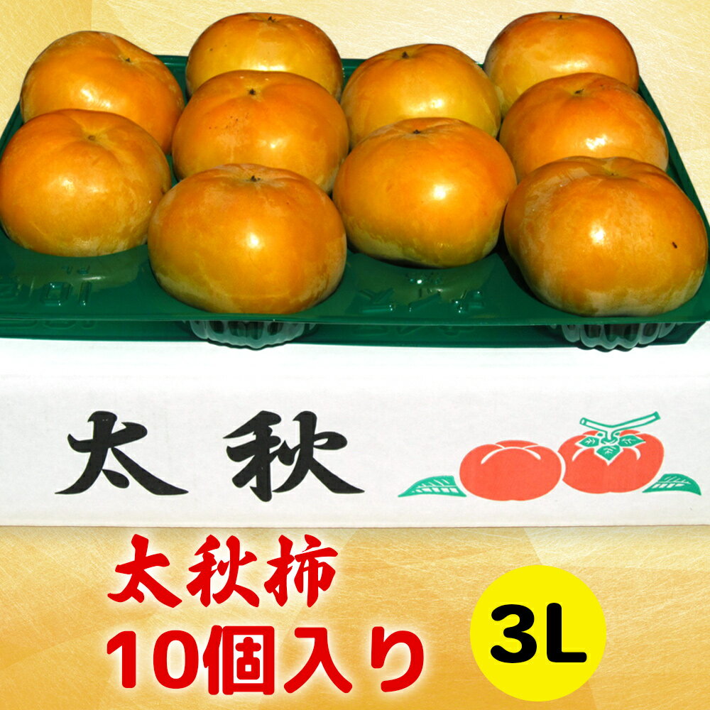 【ふるさと納税】[先行予約] 令和8年産 太秋柿 3Lサイズ 10個入り《2026年10月上旬より発送予定》[0999]｜かき 太秋 フルーツ カキ 果物 くだもの 産地直送 高橋柿ファーム 岐阜県 本巣市 15000円