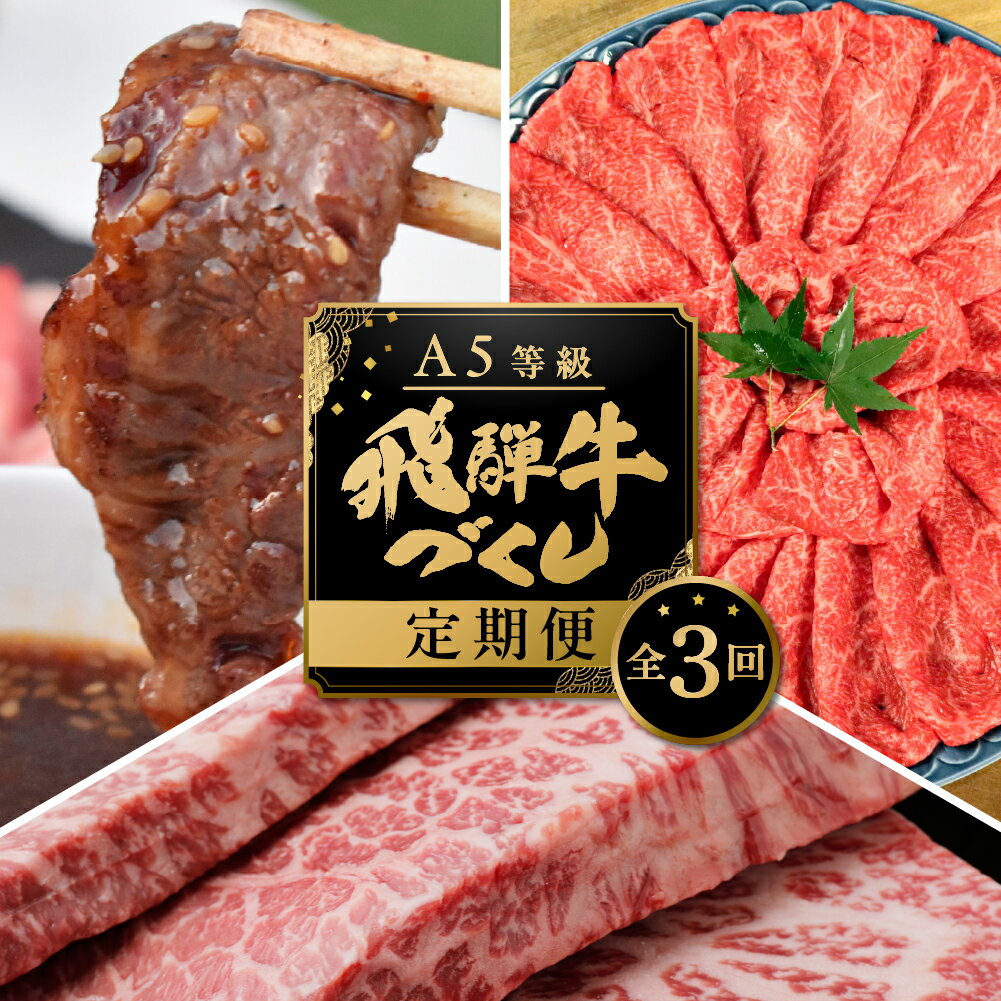 [現行寄附金額6月10日まで][定期便]A5 飛騨牛 3回 定期便 計 1.9kg 3ヶ月 食べ比べ A5等級 5等級 a5 牛肉 肉 和牛 国産牛 黒毛和牛 焼肉 すき焼き しゃぶしゃぶ ステーキ 赤身 霜降り お楽しみ トキノ屋食品 本巣市 [mt001] 60000円 6万円