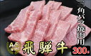 【ふるさと納税】「希少部位」[A5等級]飛騨牛三角バラ焼肉用300g[mt030] 16000円