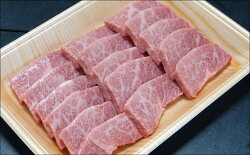 【ふるさと納税】「希少部位」[A5等級]飛騨牛三角バラ焼肉用300g[mt030] 16000円 画像2