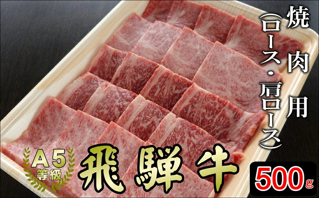 [現行寄附金額6月10日まで][A5等級]飛騨牛焼き肉用500g『ロース・肩ロース肉』[焼肉などに最適な飛騨牛スライスセット] 本巣市 [mt041] 2200円