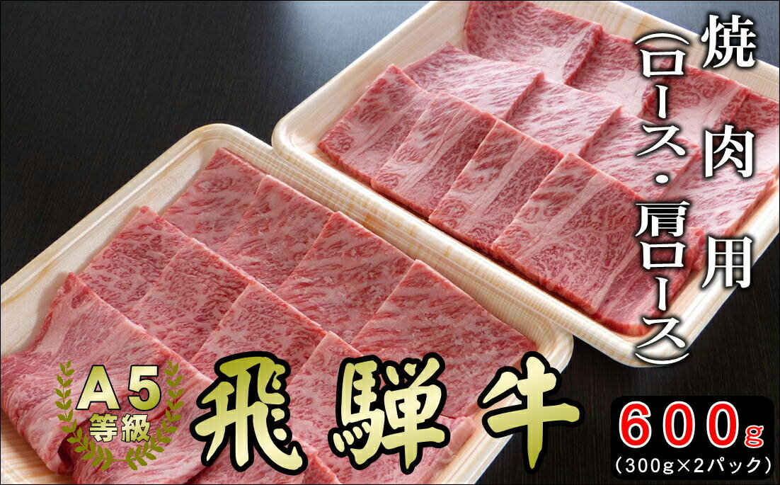 [現行寄附金額6月10日まで][A5等級]飛騨牛焼き肉用600kg(300g×2パック)『ロース・肩ロース肉』[焼肉などに最適な飛騨牛スライスセット] 本巣市 [mt042] 2800円