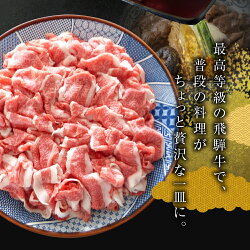 【ふるさと納税】【年内発送】【訳あり】A5等級 飛騨牛 小間切れ 500g × 2 計 1kg a5 5等級 牛肉 肉 和牛 こまぎれ 細切れ 1キロ わけあり ワケアリ 冷凍 小分け 年内配送 年内お届け 定期便 お楽しみ 単品 選べる 小川ミート 岐阜 [mt051] 20000円 60000円 100000円･･･ 画像1