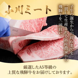 【ふるさと納税】[A5等級]飛騨牛スネ肉カット500g[mt035] 14000円 画像2