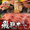 飛騨牛 【ふるさと納税】 [A5等級] 飛騨牛 赤身 肉 焼肉 用 《 1kg 750g 500g 350g 》 『 モモ ・ カタ 肉 』 あかみ A5 a5 牛肉 肉 和牛 国産 牛 黒毛和牛 やきにく 小分け 小川ミート 本巣市 [0165] [mt215] 40000円 30000円 20000円 15000円