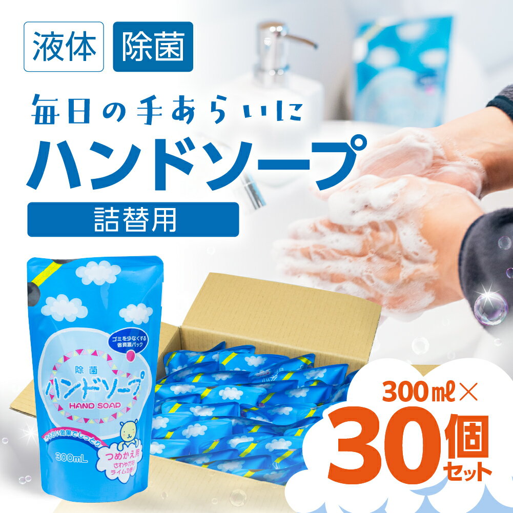 300ml ×30個 ハンドソープ 詰め換え セット 液体 手洗い 石鹸 せっけん キレイ 泡立ち 除菌 保湿 日本製 子ども 子供 台所 キッチン 日用品 送料無料 たっぷり まとめ買い ストック [生活応援] [mt415] 14000円