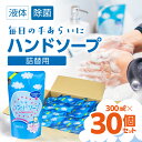 4位! 口コミ数「0件」評価「0」300ml ×30個 ハンドソープ 詰め換え セット 液体 手洗い 石鹸 せっけん キレイ 泡立ち 除菌 保湿 日本製 子ども 子供 台所 ･･･ 