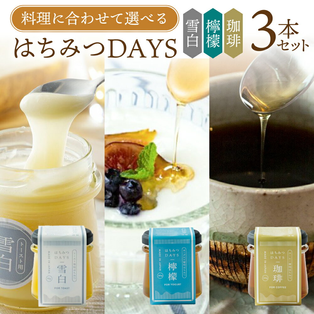 【ふるさと納税】《現行寄附金額6月10日まで》はちみつDAYS 3種類セット ( 雪白 90g 檸檬 珈琲 ) 蜂蜜...