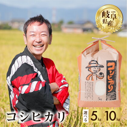 令和5年産 コシヒカリ 5kg 10kg 選べる 令和6年産 2024年 米 先行予約 米 こめ ごはん 白米 こしひかり 岐阜県産 本巣市 お米 玄米 精米 おにぎり 弁当 さっぱり もっちり 旨味 甘い 和食 寿司 アグリード 8000円 15000円 [1428] [1421]