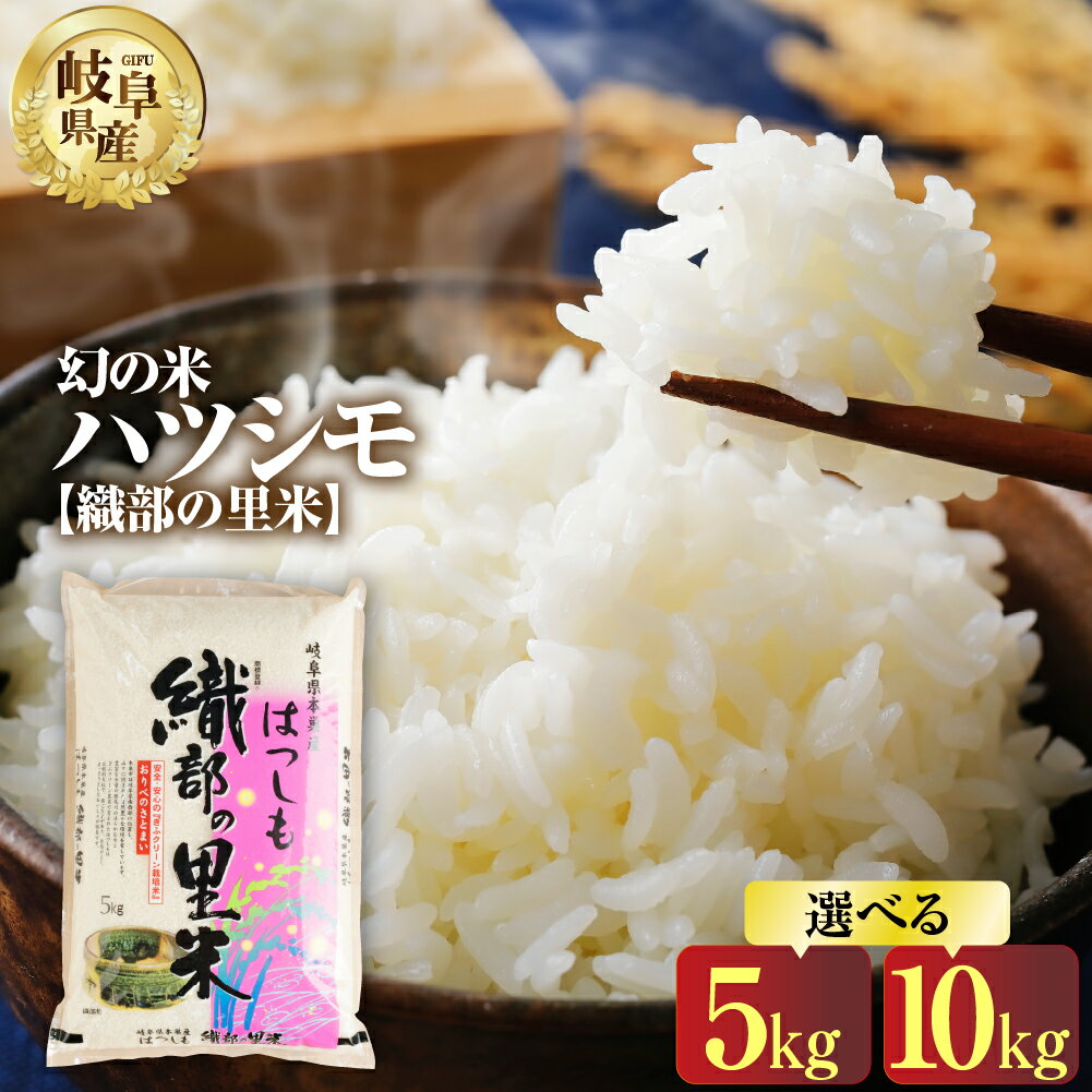 [現行寄附金額6月10日まで]令和5年産 ハツシモ 5kg 10kg 選べる 新米 令和6年産 2024年 幻の 米 こめ ごはん 白米 岐阜県産 本巣市 お米 玄米 精米 おにぎり 弁当 [織部の里米(R)]寿司 おすすめ もとすファーム8000円 15000円 [1444] [1445]