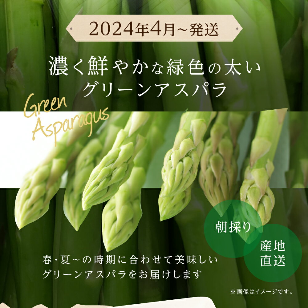 【ふるさと納税】【 先行予約 】 令和6年産 アスパラガス 400g 前後 グリーンアスパラ M~L サイズ 混合 おまかせ 簡易梱包 のため 訳あり 訳アリ BBQ 春 夏 野菜 岐阜県産 本巣市 朝採り 産地直送 新鮮 期間限定 数量限定 冷蔵 もとすファーム 5000円 [mt416]