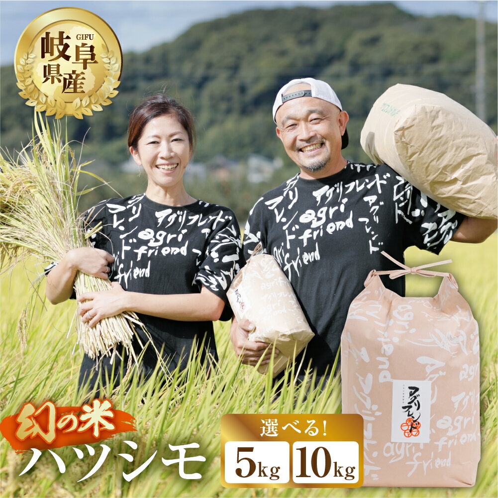 《現行寄附金額6月10日まで》【令和5年度産】 ハツシモ ( 精米 ) 5kg 10kg 選べる 令和6年産 2024年 有機肥料米 新米 幻の 米 こめ ごはん 白米 岐阜県産 本巣市 お米 玄米 精米 寿司 おすすめ アグリフレンド 8000円 15000円 [1451]