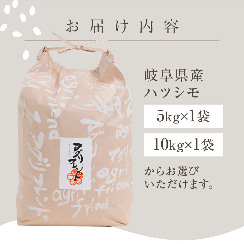 心を込めて作ったお米を是非食べてみてください　【ふるさと納税】【年内発送】【令和7年度産】ハツシモ ( 精米 ) 5kg 10kg 選べる 有機肥料米 幻の 米 こめ ごはん 白米 岐阜県産 本巣市 お米 精米 寿司 おすすめ アグリフレンド [mt562] 12月 年内 年内配送