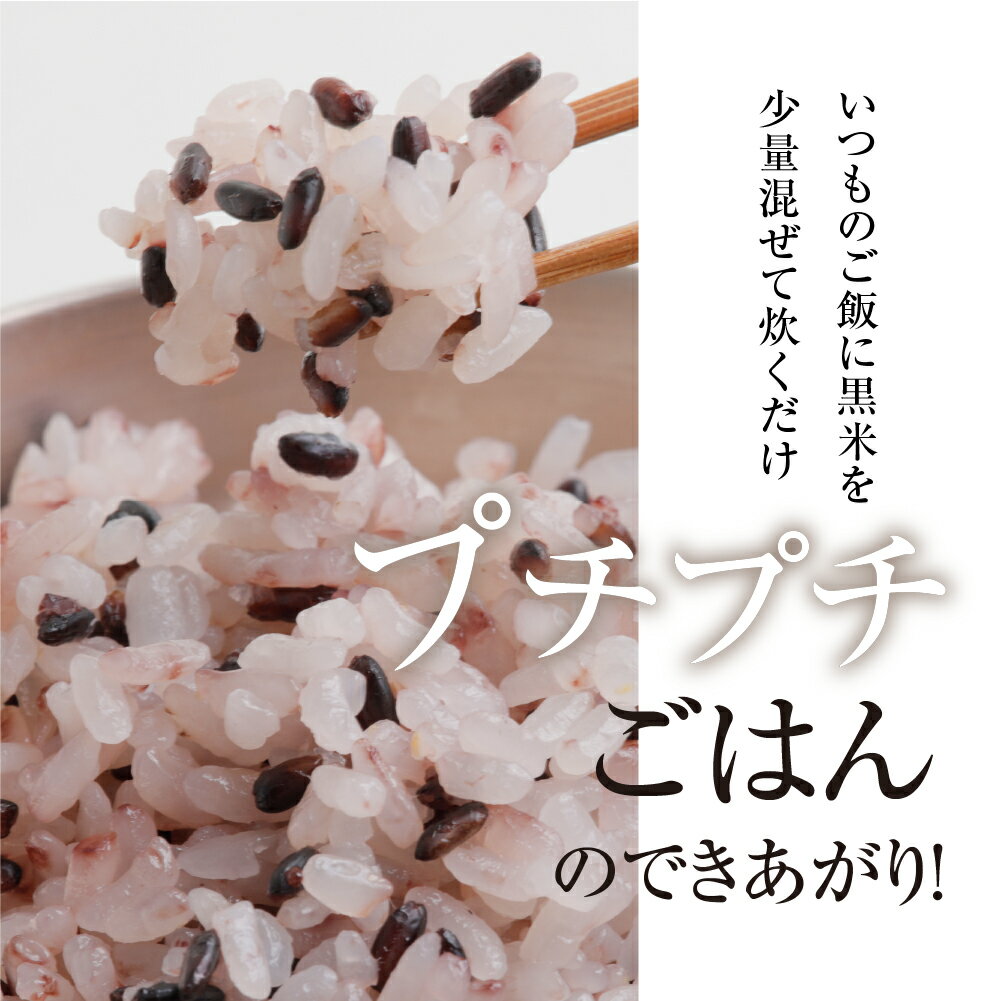 岐阜県本巣市の画像3